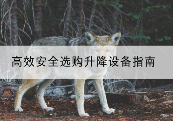 茫崖升降货梯厂家推荐-*安全选购升降设备指南