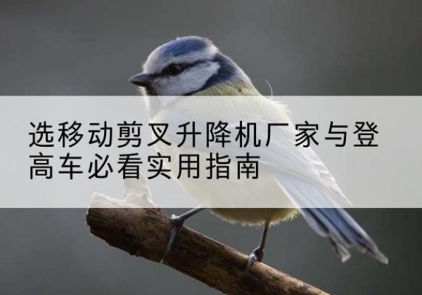茫崖电动升降机厂家-选移动剪叉升降机厂家与登高车必看实用指南